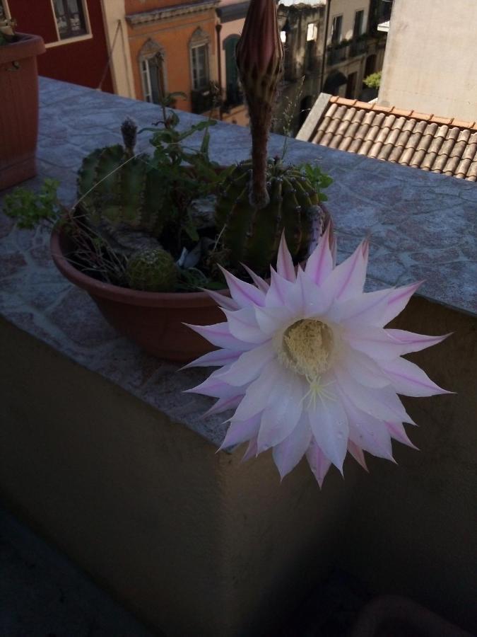 B&B Antica Citta Cagliari Exteriér fotografie